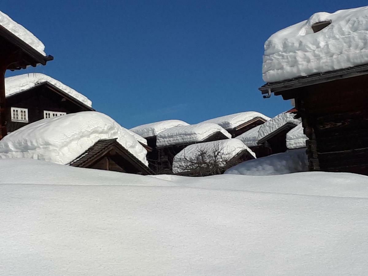Ferienwohnung Alpensonne Reckingen Exterior foto