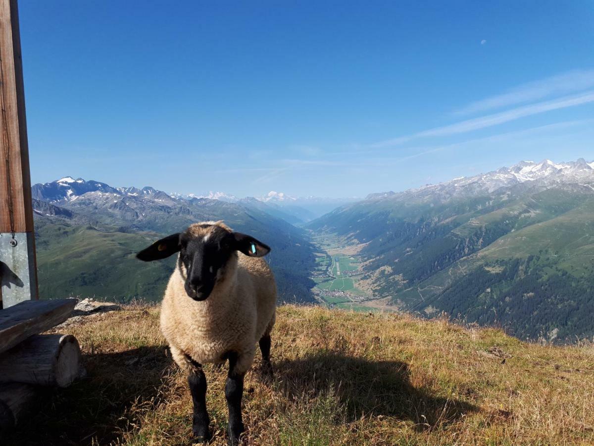 Ferienwohnung Alpensonne Reckingen Exterior foto